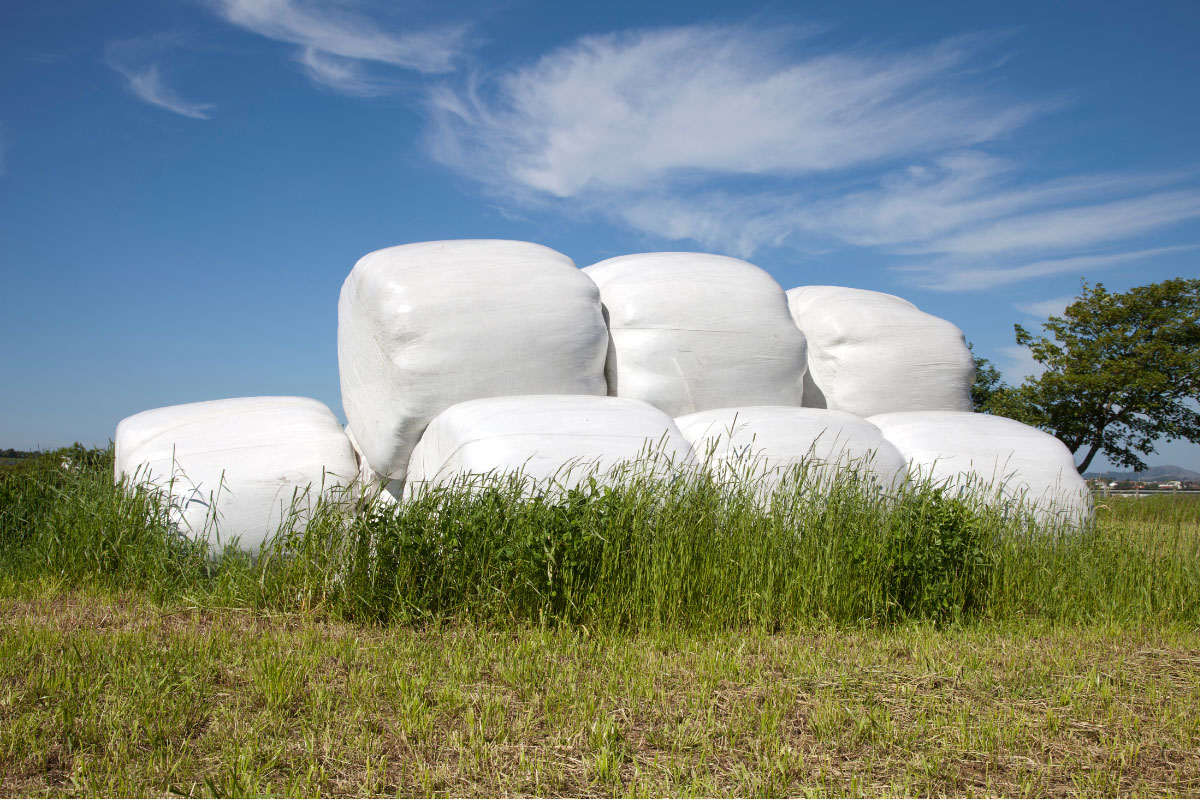 لیست قیمت نایلون سیلاژ