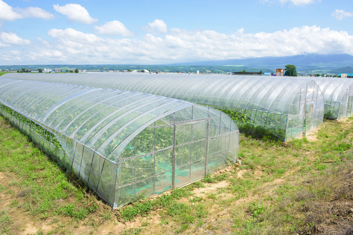 نکات مهم در خرید نایلون گلخانه