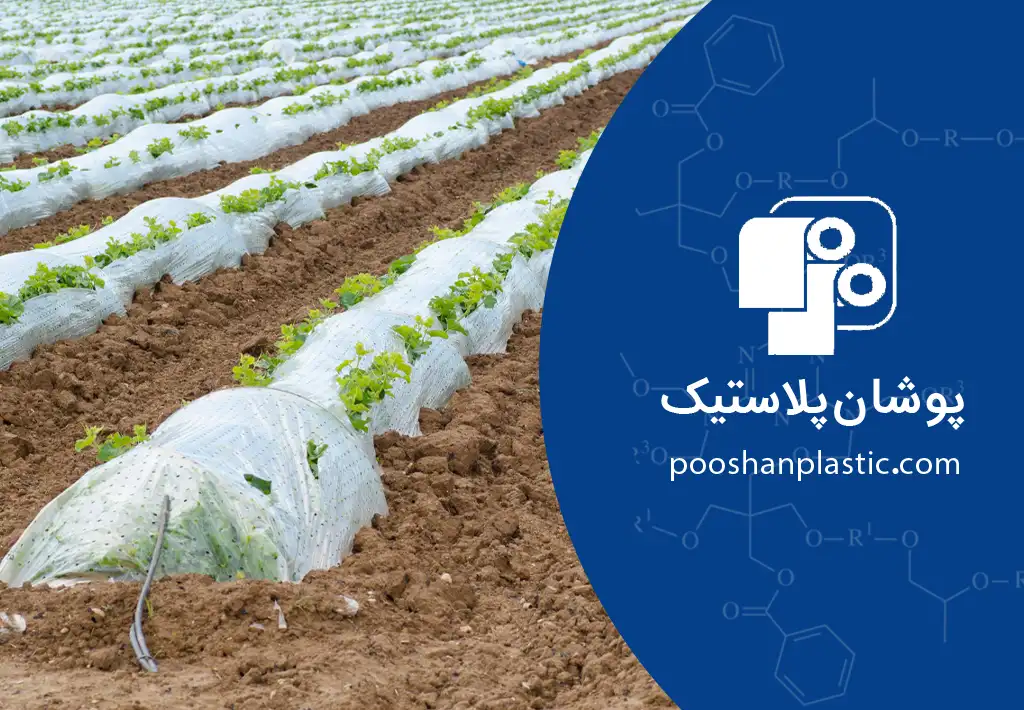 فیلم مالچ پلاستیکی چیست؟ 3 فیلم مالچ پلاستیکی برای چه محصولاتی مناسب است؟