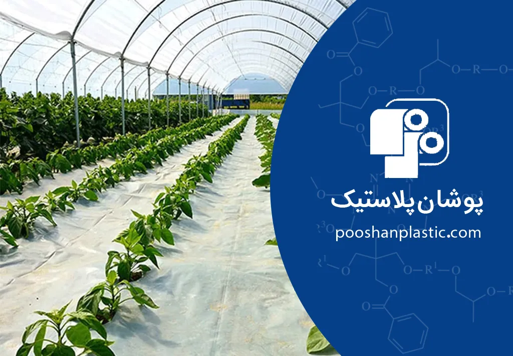 مستربچ نایلون گلخانه‌ای