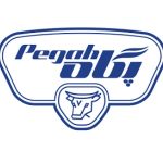 پوشان پلاستیک 52 پگاه