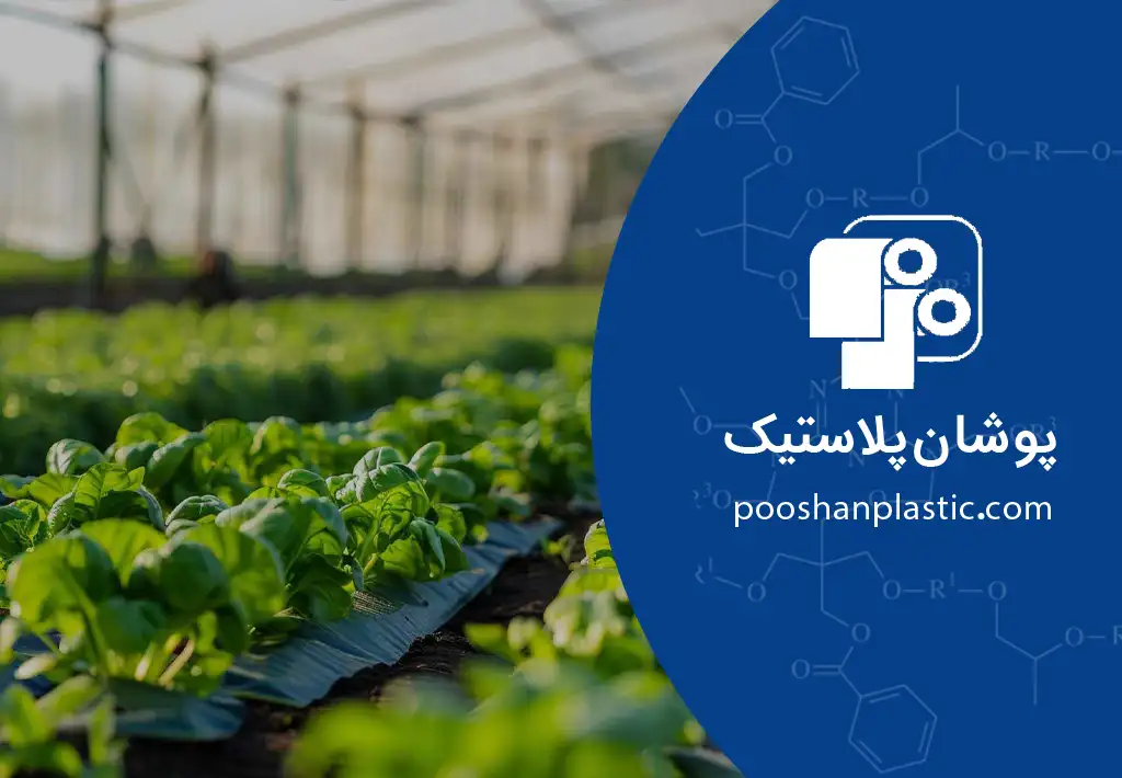 از بین بردن علف هرز با پلاستیک 3 مزایای استفاده از نایلون مالچ برای کنترل علف هرز