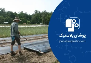 پایگاه دانش 33 آموزش استفاده از مالچ پلاستیکی