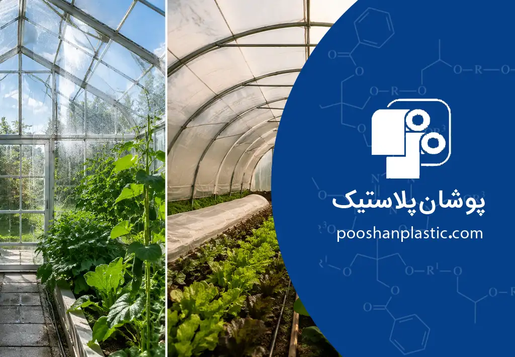 گلخانه شیشه ای بهتر است یا پلاستیکی؟ 1 گلخانه شیشه ای و پلاستیکی چه تفاوتی با یکدیگر دارند؟